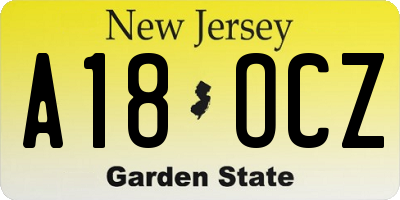 NJ license plate A18OCZ