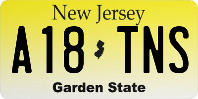 NJ license plate A18TNS