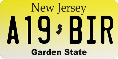 NJ license plate A19BIR