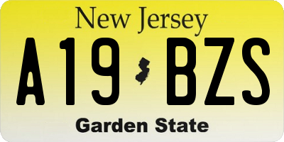 NJ license plate A19BZS