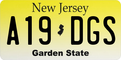 NJ license plate A19DGS