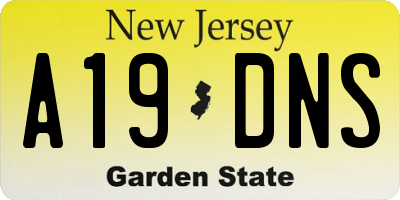 NJ license plate A19DNS
