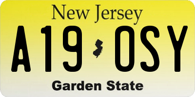 NJ license plate A19OSY