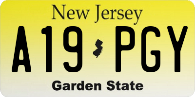 NJ license plate A19PGY