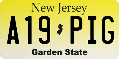 NJ license plate A19PIG