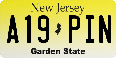 NJ license plate A19PIN