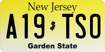 NJ license plate A19TSO