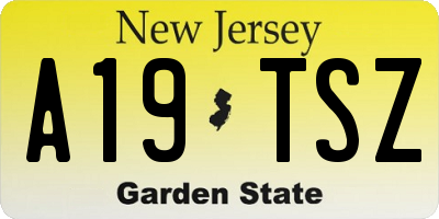 NJ license plate A19TSZ