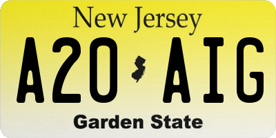 NJ license plate A20AIG