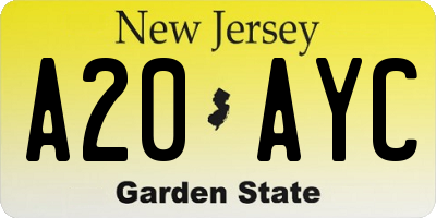 NJ license plate A20AYC