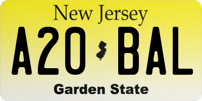 NJ license plate A20BAL