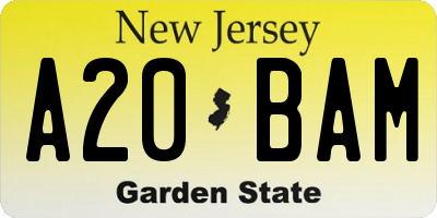 NJ license plate A20BAM