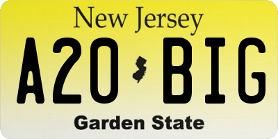 NJ license plate A20BIG