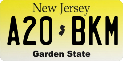 NJ license plate A20BKM