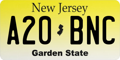 NJ license plate A20BNC