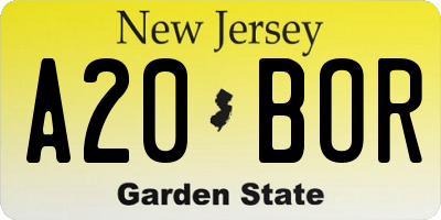 NJ license plate A20BOR