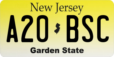 NJ license plate A20BSC