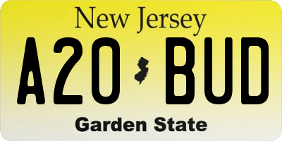 NJ license plate A20BUD
