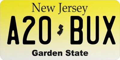 NJ license plate A20BUX