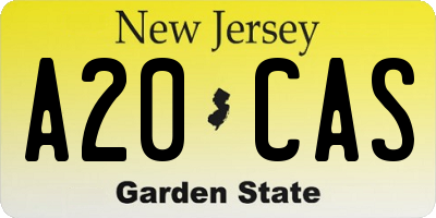 NJ license plate A20CAS