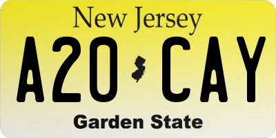 NJ license plate A20CAY