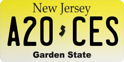 NJ license plate A20CES
