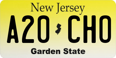 NJ license plate A20CHO