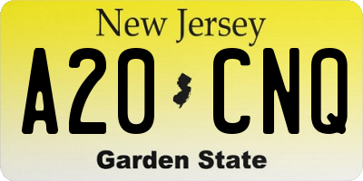 NJ license plate A20CNQ