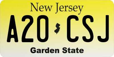 NJ license plate A20CSJ