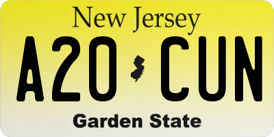 NJ license plate A20CUN
