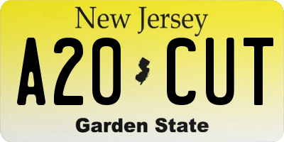 NJ license plate A20CUT