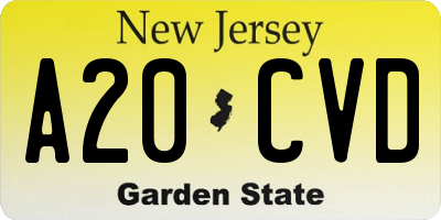 NJ license plate A20CVD