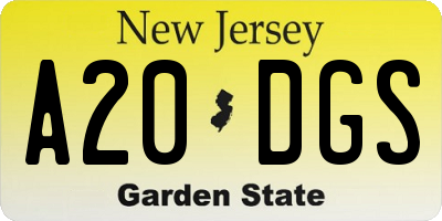 NJ license plate A20DGS