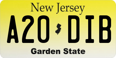 NJ license plate A20DIB