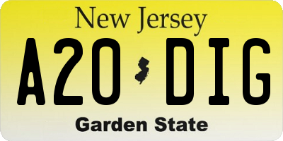 NJ license plate A20DIG