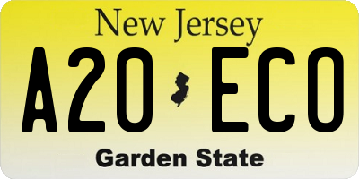NJ license plate A20ECO