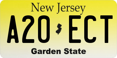 NJ license plate A20ECT