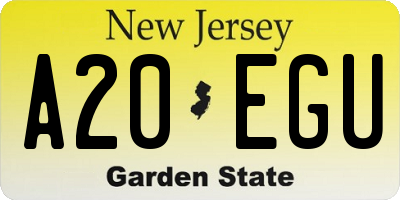 NJ license plate A20EGU