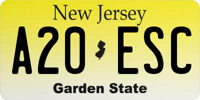 NJ license plate A20ESC