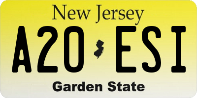 NJ license plate A20ESI
