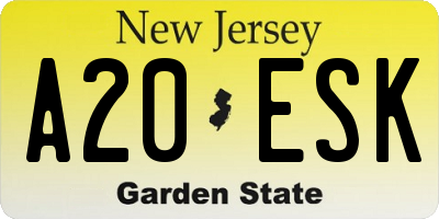 NJ license plate A20ESK