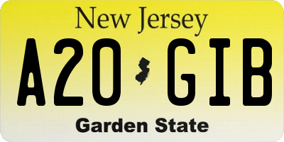 NJ license plate A20GIB