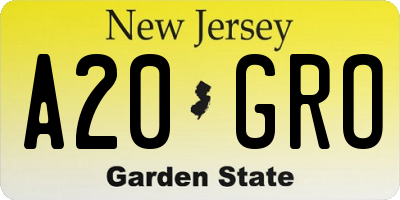 NJ license plate A20GRO
