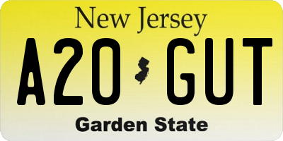 NJ license plate A20GUT