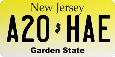 NJ license plate A20HAE