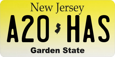 NJ license plate A20HAS
