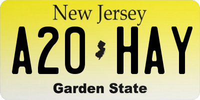 NJ license plate A20HAY