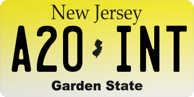 NJ license plate A20INT
