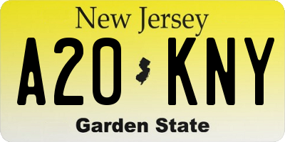 NJ license plate A20KNY
