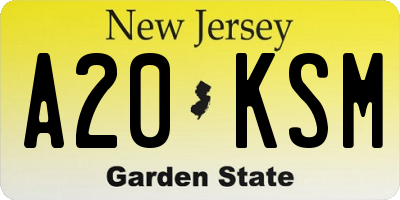 NJ license plate A20KSM